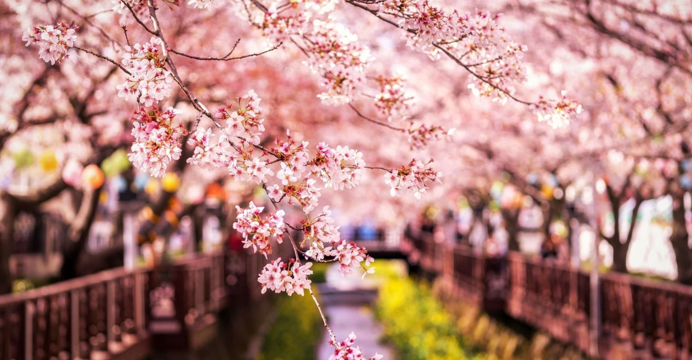 exploreKorea home image